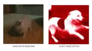 Thumbnail: WAKE ME UP INSIDE (CAN'T WAKE UP MEME DOGS )