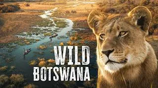 Thumbnail: THIS Is the African Safari to Go On | Botswana’s Okavango Delta