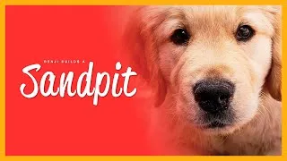 Thumbnail: Adorable Golden Retriever Puppy Builds a Sandpit with His Pawrents