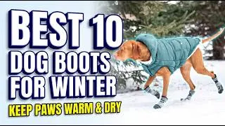 Thumbnail: Best 10 Dog Boots For Winter | Ultimate Cold Weather Dog Gear