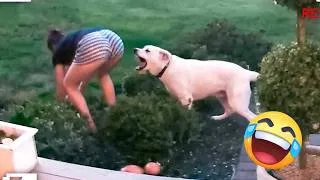 Thumbnail: TRY NOT TO LAUGH 😆 Best Funny Videos Compilation 😂 PART 50