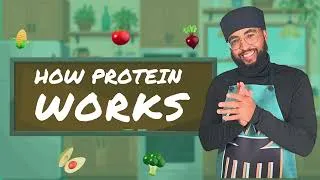 Thumbnail: How Protein Works | Nutrition Lessons for Kids! | Learning Videos for Kids