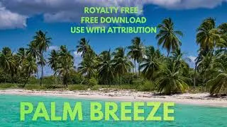 Thumbnail: 🌴 Palm Breeze — Royalty Free Tropical Music | Use With Attribution