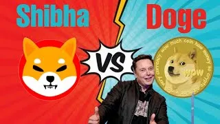 Thumbnail: Shibha inu vs Doge coin | Shibha inu | Doge coin | #shibhainucoin #dogecoin #crypto #fiinvestor