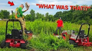 Thumbnail: I Got SMACKED In The Head Mowing This... Then It Got Worse