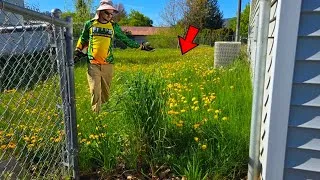 Thumbnail: The Yard That Gave EVERY Neighbor 1000 Dandelions... For FREE!