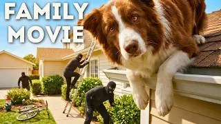 Thumbnail: Epic Dog Chase and Heist | FULL MOVIE | Family Comedy in 4K