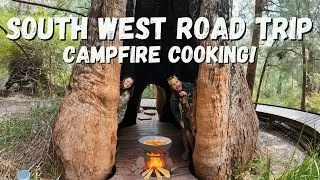 Thumbnail: Van Life Western Australia | Forest Trains & The Valley of Giants
