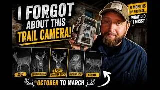 Thumbnail: I Forgot About My Deer Hunting Trail Camera… Then I Found This