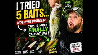 Thumbnail: Summer Bass Fishing Is TOUGH… I Tried Everything to Get One