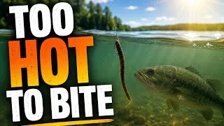 Thumbnail: The Bass Bite Was BRUTAL… I Had to Change Everything