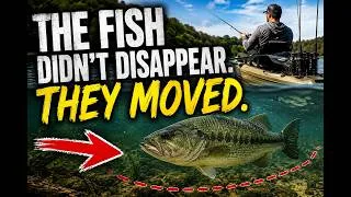 Thumbnail: Where Do Bass Go When They Disappear? | Bass Fishing Tips