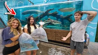 Thumbnail: They Bought Monster Fish for the 2,000gal WAREHOUSE Tank?!