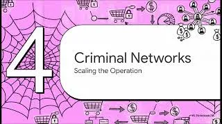 Thumbnail: Exploiting E-commerce Platforms: How Amazon and eBay Became Vehicles for Money Laundering