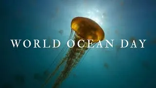 Thumbnail: world ocean day 🌍| finley