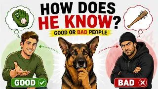 Thumbnail: Your Dog Knows Something About That Person You Don't || Dogs Psychology