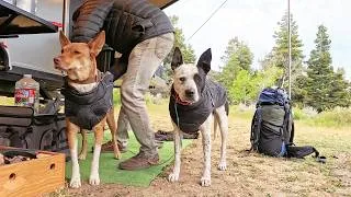 Thumbnail: An Easy-Going Nature Fix Mountain Side ​Camping & Firebox Stove Cooking ​With Baby Pack Goats & Dogs