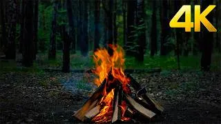 Thumbnail: Evening Campfire in the Woods 🌙🔥 | Relaxing Jazz Piano & Serene Forest Ambience in 4K