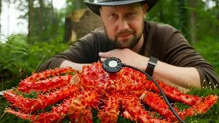 Thumbnail: I Put a Contact Mic on a Giant King Crab [ASMR]