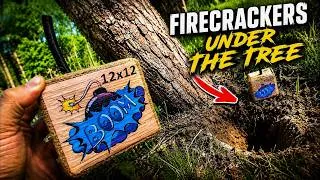 Thumbnail: The Most Powerful firecracker exsplosion under the Tree!🌳💥