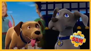 Thumbnail: Nipper, meet Shadow! 🔥 Fireman Sam Dog Compilation