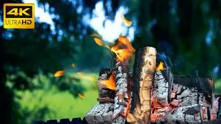 Thumbnail: Cozy Campfire in Nature 🔥 3 Hours of Relaxing Fire Crackling Sounds (4K)