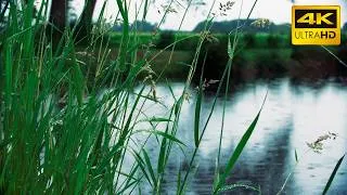 Thumbnail: Rain Drops Falling on Water & Rolling Thunder  3 Hours Deep Sleep Rain Sounds 4K