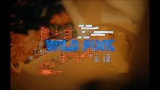 Thumbnail: Wild Pink - 500 Is The New 250 (Chapter III)