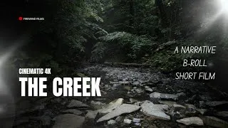 Thumbnail: The Creek | GoPro Mission 1 Pro 4k Cinematic Footage