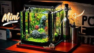Thumbnail: I Built the Ultimate Mini Planted Aquarium with CO₂ 🌿 | Stunning Nano Aquascape Setup