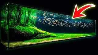 Thumbnail: Aquascape Masterpiece | Building a Beautiful Fish Tank at Home