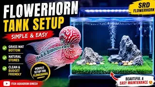Thumbnail: Flowerhorn Fish Tank Setup in Tamil | My New Flowerhorn Aquarium Setup#flowerhorn 