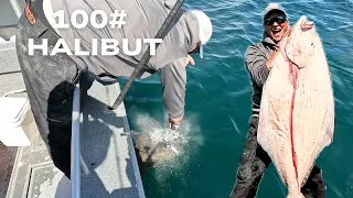 Thumbnail: 5 Day Fishing and Beachcombing Adventure in Alaska | My Biggest Halibut Ever!