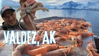 Thumbnail: 8-Day Alaska Adventure | Shrimping, Fishing, & Squid CATCH & COOK in Prince William Sound!