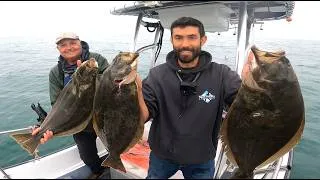 Thumbnail: Back to Back to Back BIG Buts - We hit the spot Halibut fishing