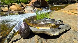Thumbnail: 4000ft Up - Brown Trout and Rainbow Trout Catch and Cook