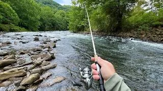 Thumbnail: TROUT Fishing with Spinners on Tailwater River