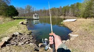 Thumbnail: Fishing a Small Pond for ANYTHING That Bites