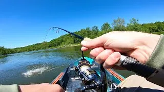 Thumbnail: River Kayak Fishing for ANYTHING that bites!