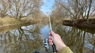 Thumbnail: Rainbow TROUT Fishing with Spinners (creek fishing)