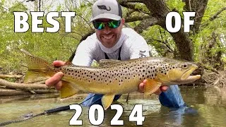 Thumbnail: Fish Hawk | Best of 2024