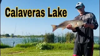 Thumbnail: Calaveras Lake Redfish Fishing: Live Tilapia + Catch & Cook