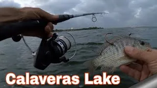 Thumbnail: 5 AM Calaveras Lake Run: Catching Bait, Having Fun, & Landing One!