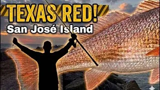 Thumbnail: Big Fish, Small Hook: How I Landed This Oversized Redfish (Penn 8000)