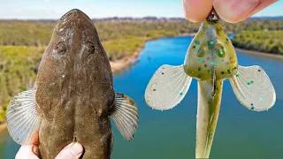Thumbnail: CANNIBAL FISH? - Can I Catch a Flathead on a Flathead LURE? (Brisbane, Australia)
