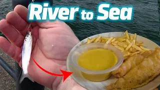 Thumbnail: I Caught My Own Bait To Catch My Dinner (River to Sea) Catch & Cook