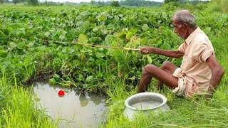 Thumbnail: Fishing Video || Grandpa showed a special method of fishing by cleaning the right spot in the canal