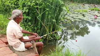 Thumbnail: Fishing Video || Grandpa caught fish in his own pond by applying best and most effective technique