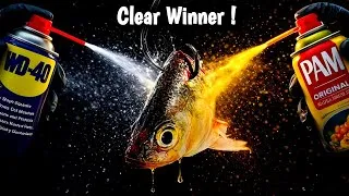 Thumbnail: The BEST Fish attractant (4 tested )