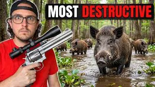 Thumbnail: Hunting Down America's Most Destructive Pest With a Revolver!